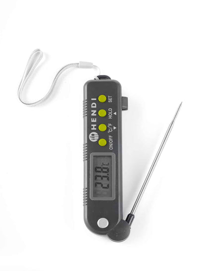Thermometer with folding probe